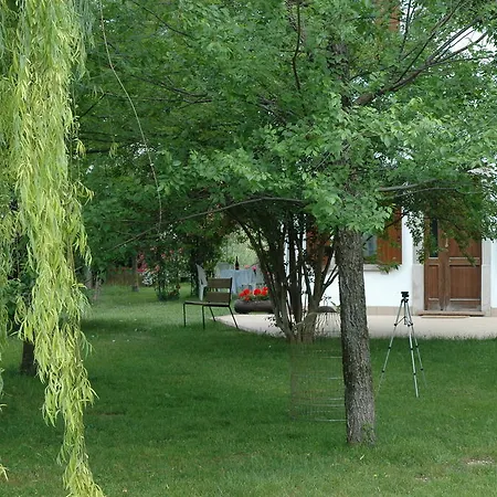 Rose Rosse Bed & Breakfast *