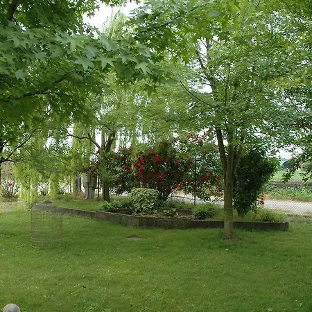 Bed & Breakfast Rose Rosse Cadi David