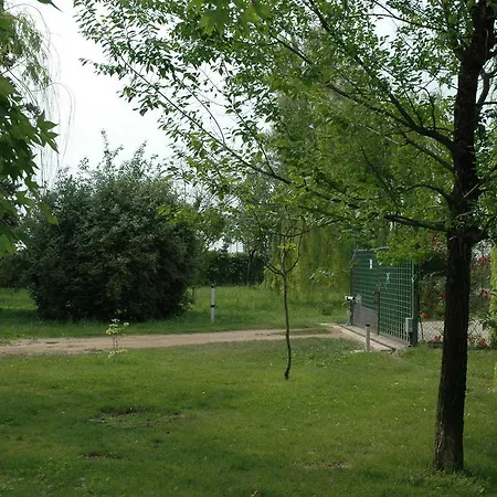 Bed and breakfast Rose Rosse Cadi David