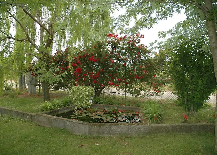 Rose Rosse Cadi David