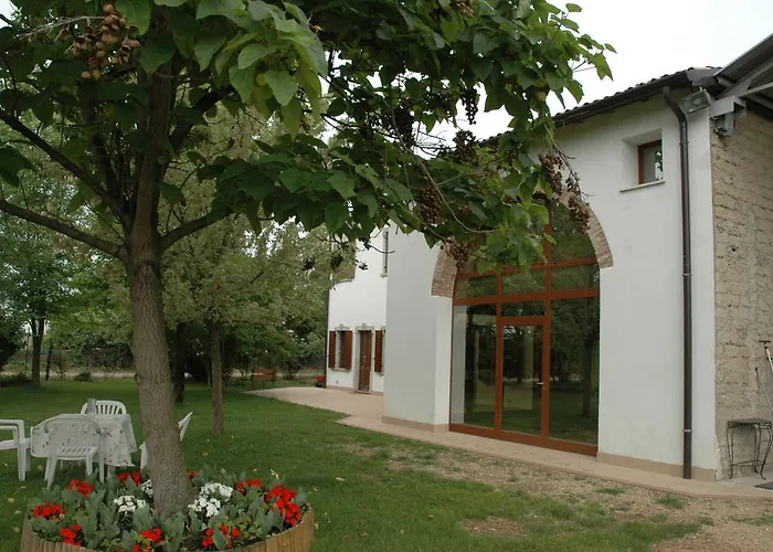 Rose Rosse Cadi David