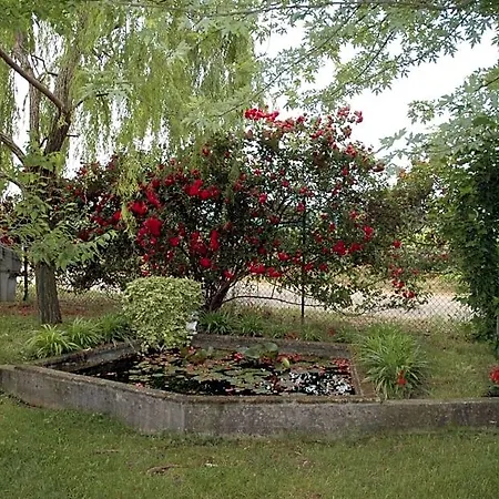 Bed & Breakfast Rose Rosse