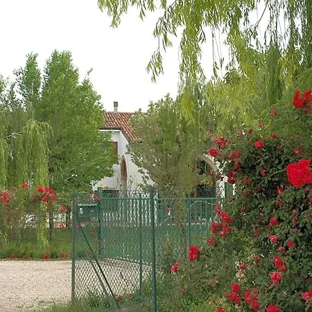 Rose Rosse