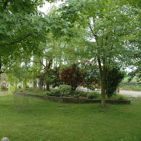 住宿加早餐酒店 罗斯罗斯旅馆 Cadi David