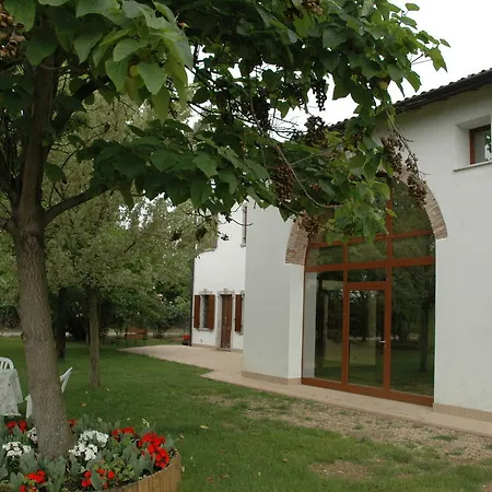 Rose Rosse Cadi David