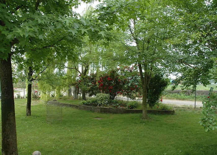 Couette-café Rose Rosse Cadi David