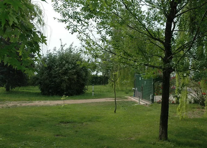 Couette-café Rose Rosse Cadi David